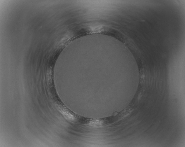 X0000077310369200610201159