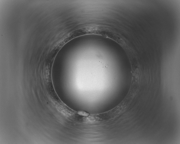 X0000077310372200610201159