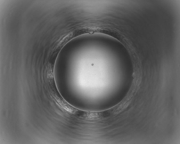 X0000077310384200610201159