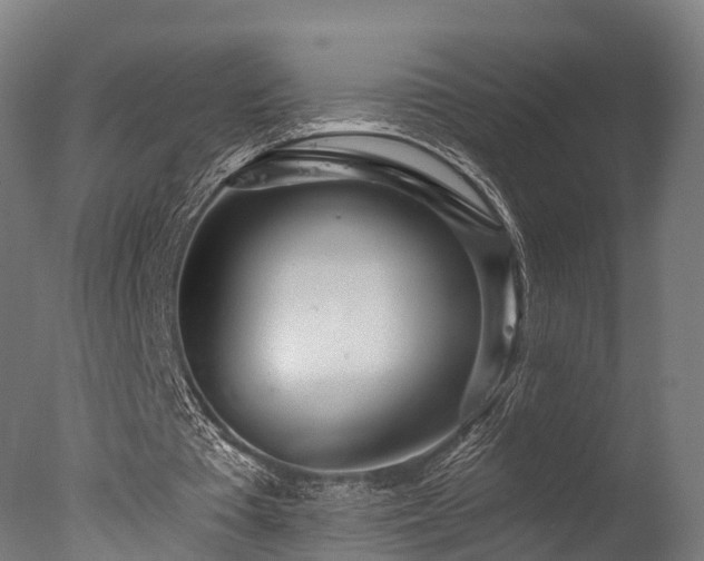 X0000077310385200610201159