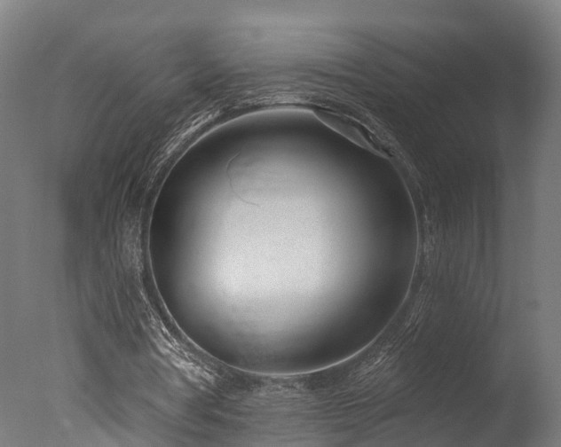 X0000077310386200610201159