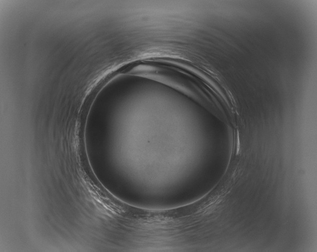 X0000077310387200610201159