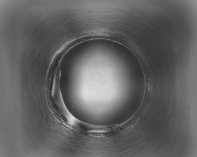 X0000077310388200610201159
