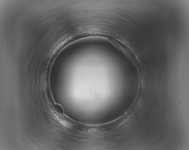 X0000077310390200610201159
