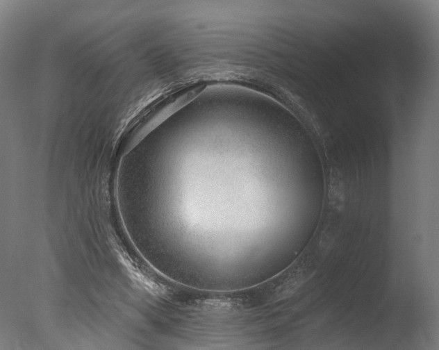 X0000077310394200610201158