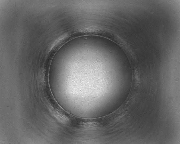 X0000077310396200610201158
