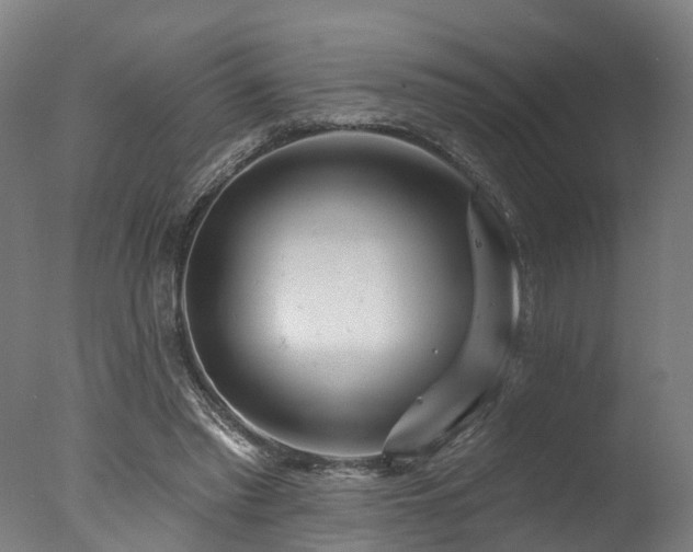 X0000077310397200610201158