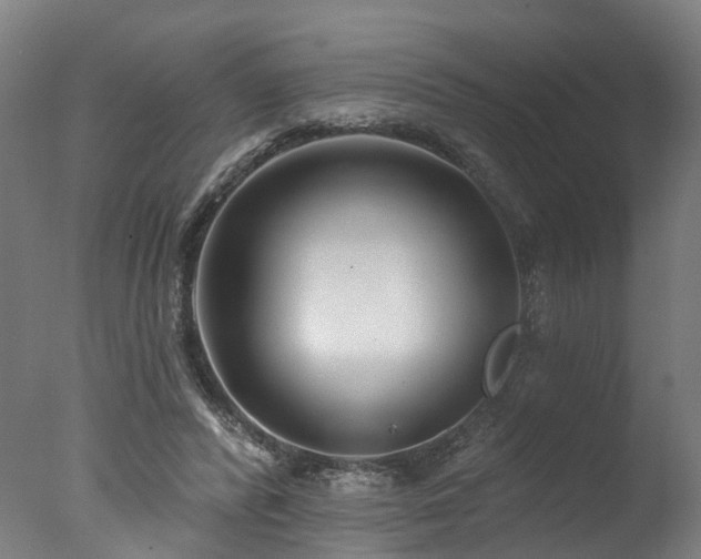 X0000077310400200610201158