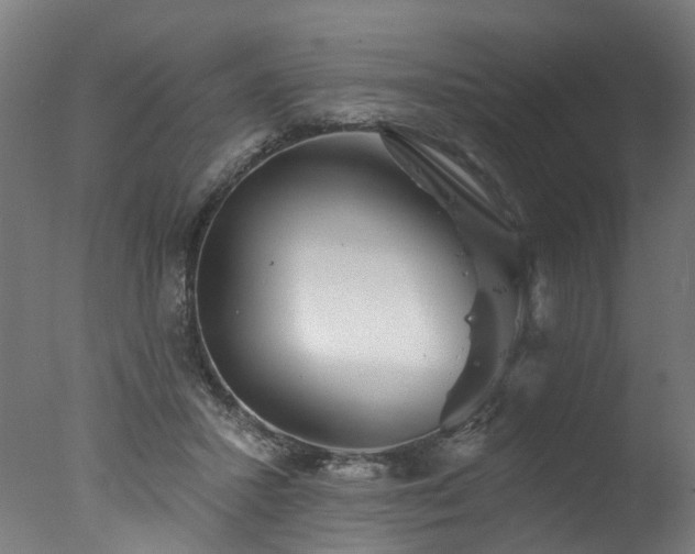 X0000077310407200610201158