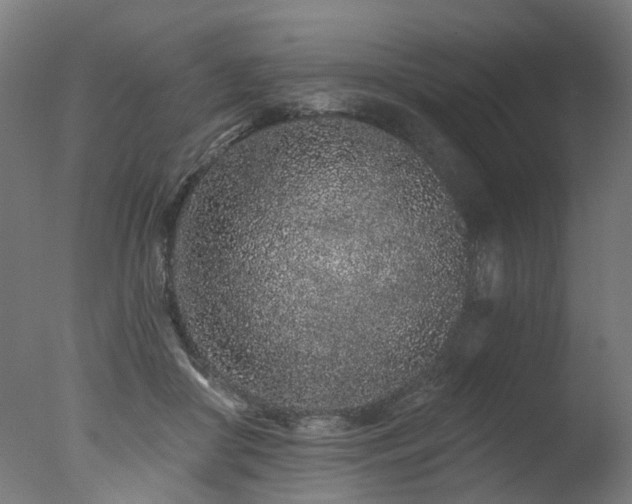 X0000077310410200610201158