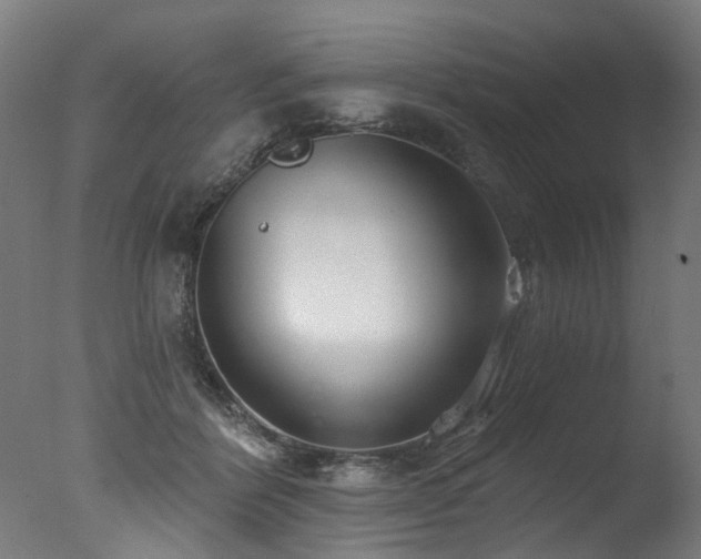 X0000077310412200610201158