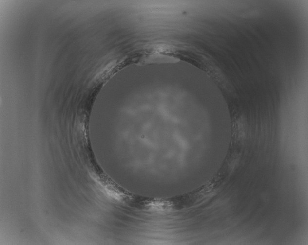 X0000077310415200610201158