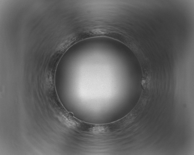 X0000077310418200610201158