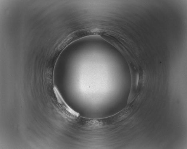 X0000077310421200610201158