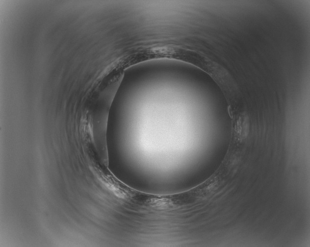 X0000077310424200610201158