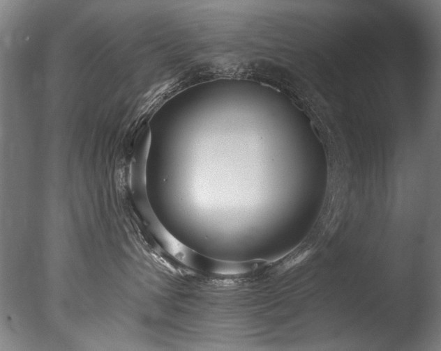X0000077310432200610201158