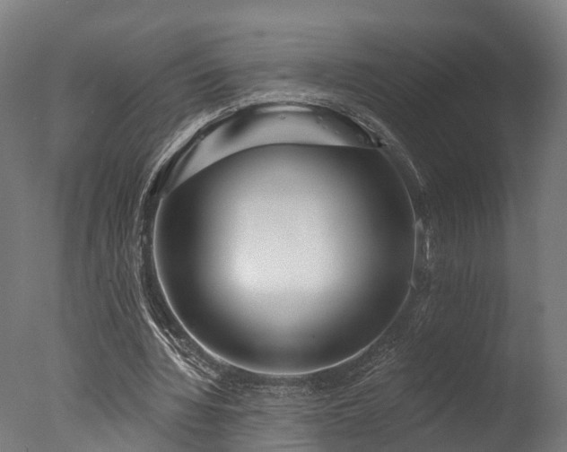 X0000077310436200610201157