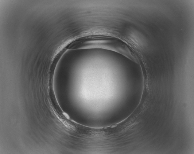 X0000077310438200610201157