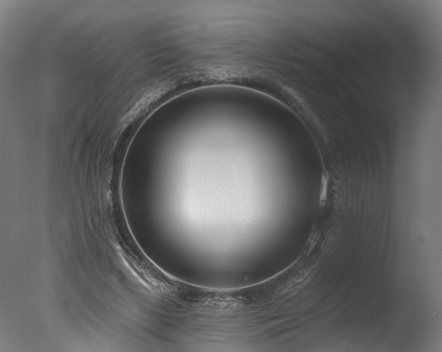 X0000077310443200610201157