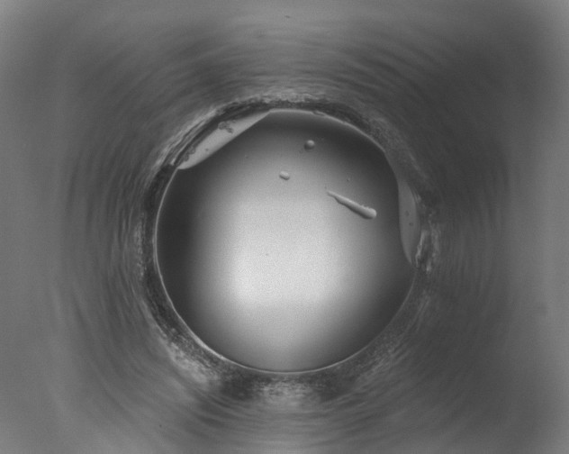 X0000077310444200610201157