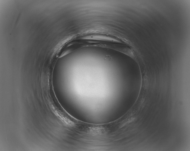 X0000077310446200610201157