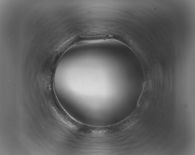X0000077310450200610201157