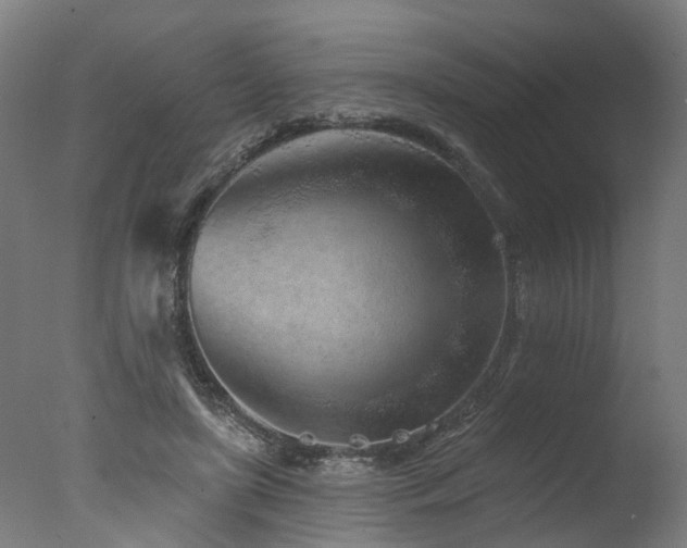 X0000077310451200610201157