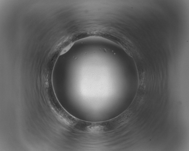X0000077310452200610201157