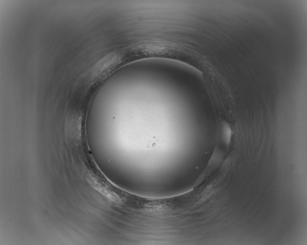 X0000077310454200610201157