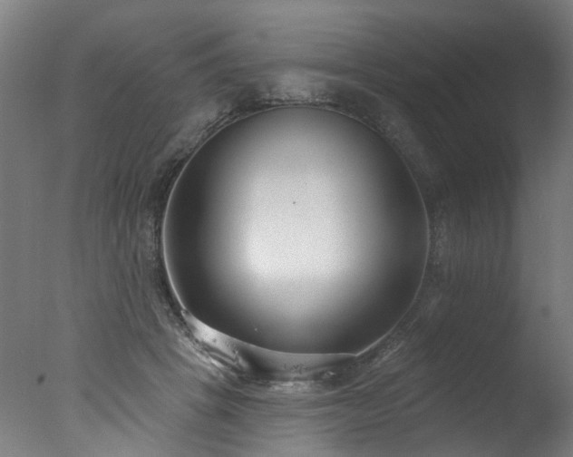 X0000077310457200610201157