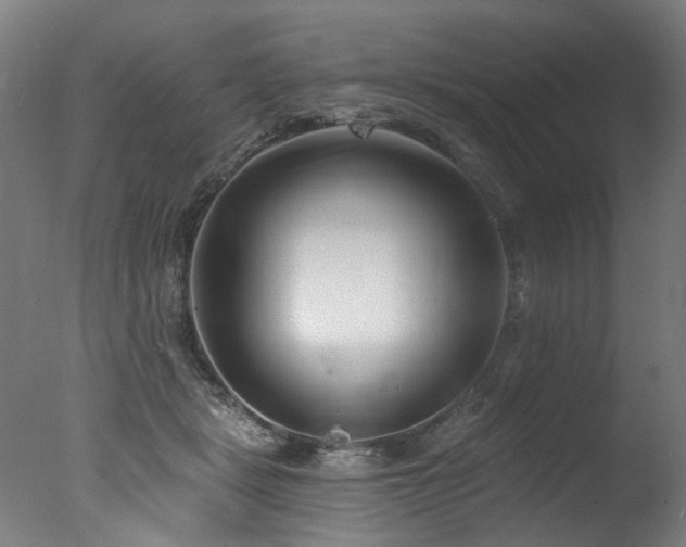 X0000077310461200610201157