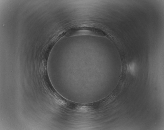 X0000077310467200610201158