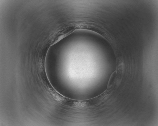 X0000077310469200610201158