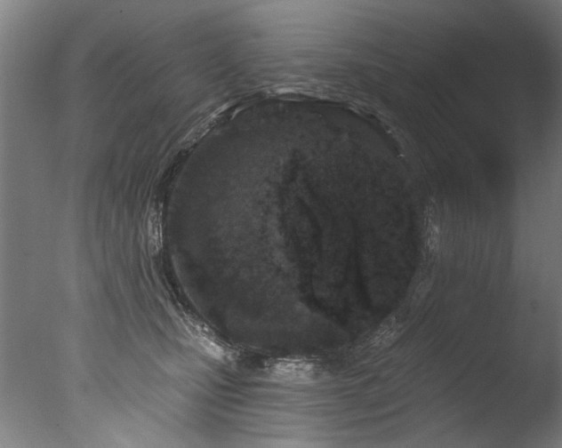 X0000077310471200610201158