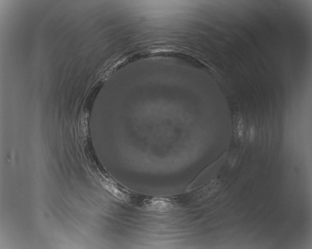X0000077310475200610201158