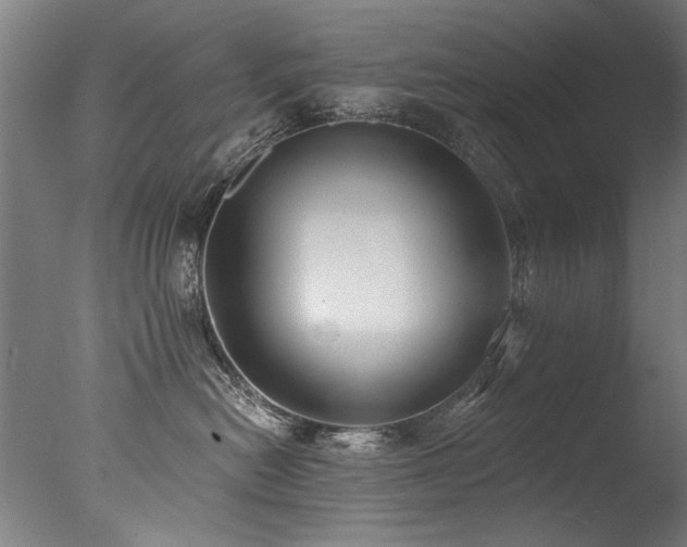 X0000077310478200610201158