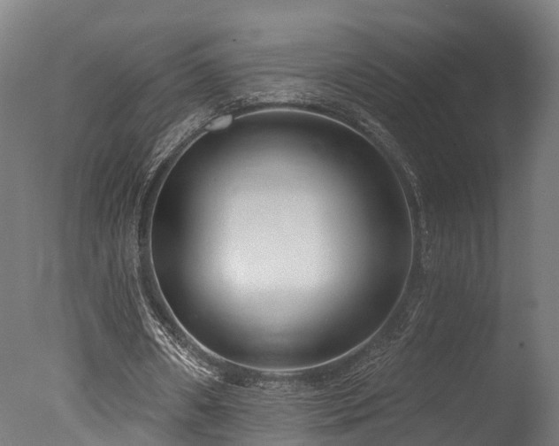 X0000077310482200610201157