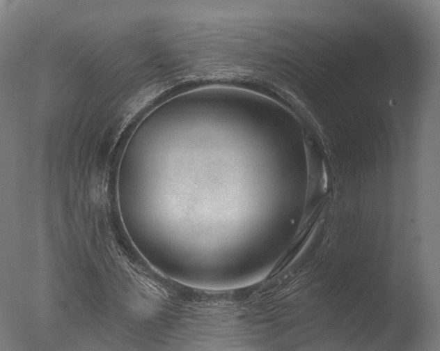 X0000077310483200610201157