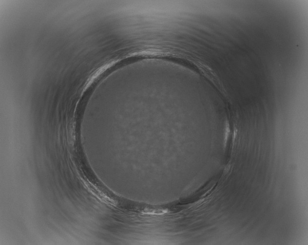 X0000077310484200610201157
