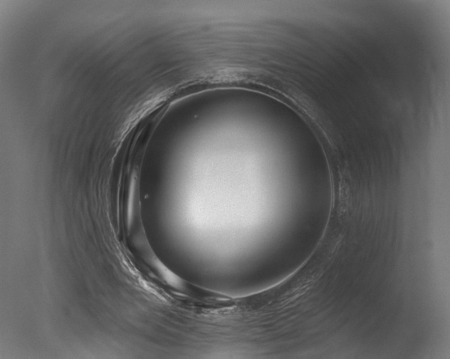 X0000077310485200610201157