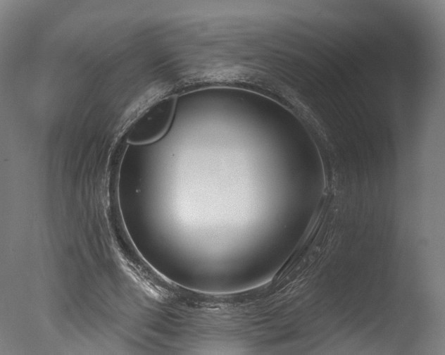 X0000077310486200610201157