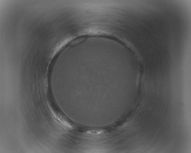 X0000077310488200610201157