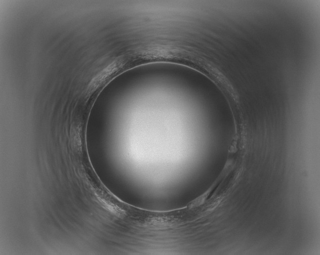 X0000077310489200610201157