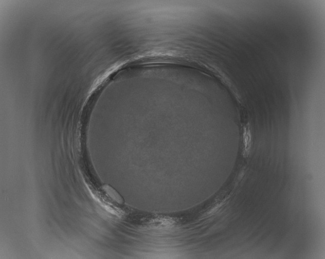 X0000077310492200610201157