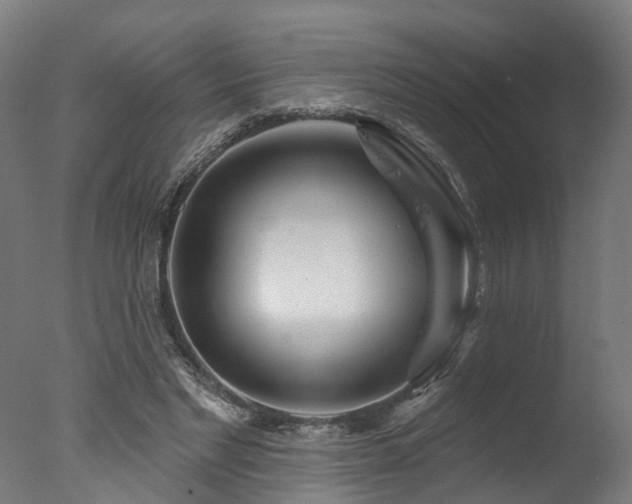 X0000077310493200610201157
