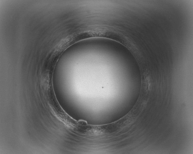 X0000077310498200610201157