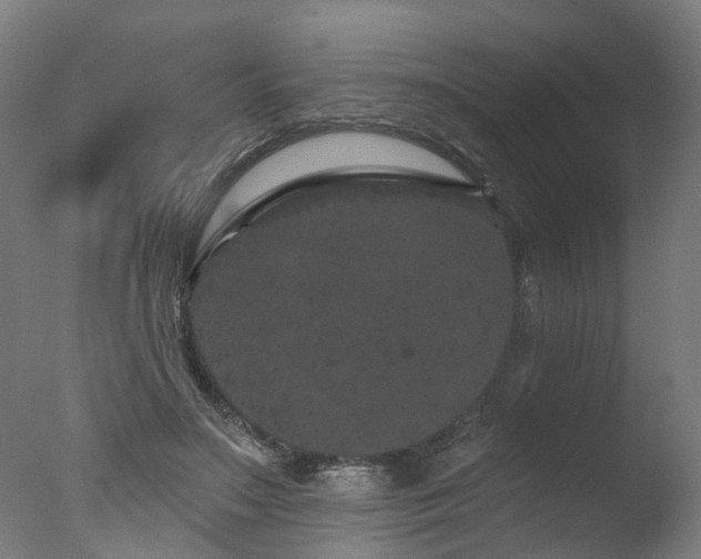 X0000077310499200610201157
