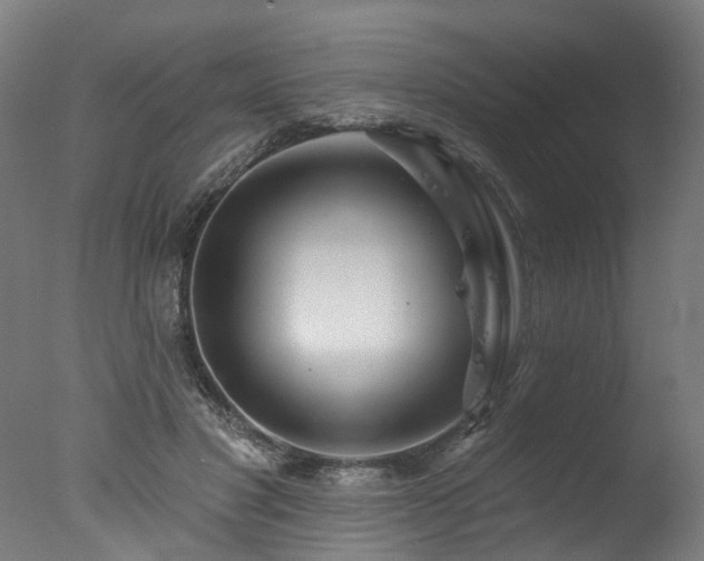 X0000077310501200610201157