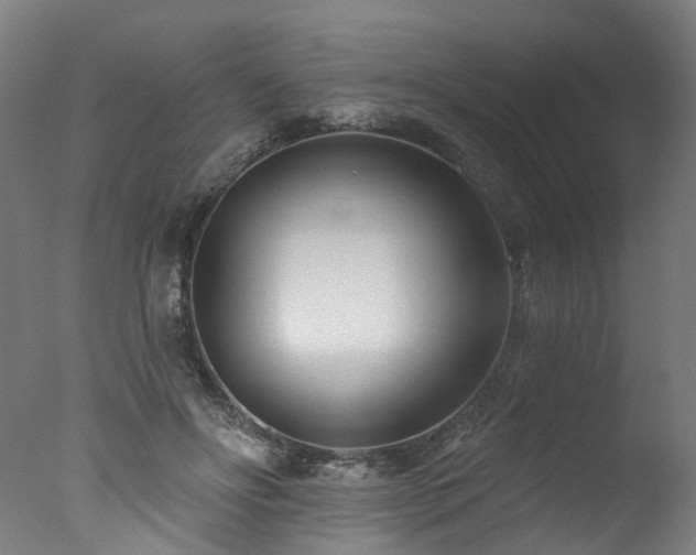 X0000077310502200610201157