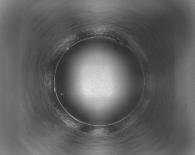 X0000077310505200610201157